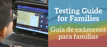  Testing Guide